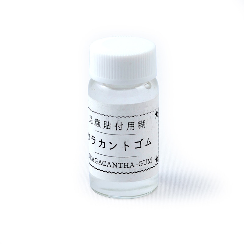 �����פȤʤ�ޤ����ۥ��饫��ȥ����