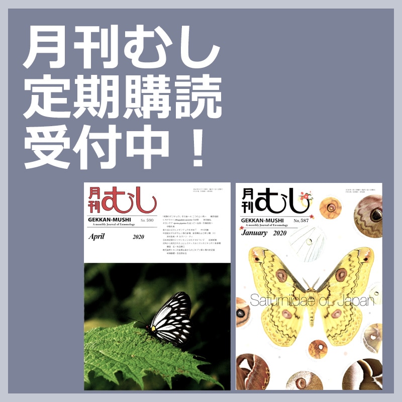 月刊むし」 定期購読料 | 月刊むし,月刊むし定期購読 | むし社