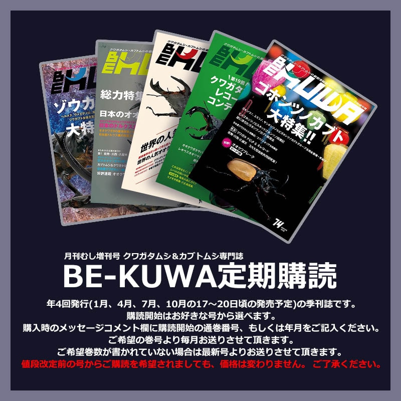 BE-KUWA年間定期購読 4回分 | BE-KUWA,BE-KUWA定期購読 | むし社