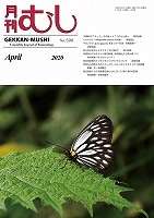 ��ष NO.590