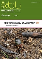 月刊むし NO.598