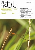 月刊むし NO.601 | 月刊むし,月刊むし | むし社オンラインショップ