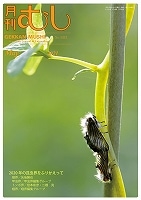 ��ष NO.603