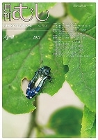 ��ष NO.614