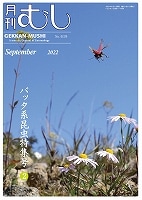月刊むし NO.619 | 月刊むし,月刊むし | むし社オンラインショップ