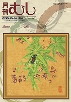 ジャケット むしたま様 チドリテーラーカラージャケット - 【シサム工房 公式