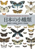 ܤξ -MICROLEPIDOPTERA OF JAPAN-