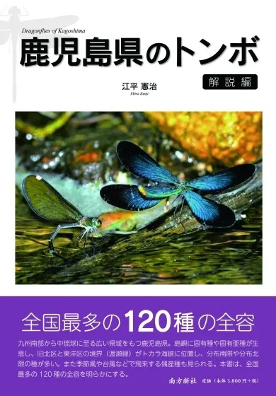 とんぼページ 鹿児島県のトンボ・解説編 | 他社書籍 | むし社オンラインショップ