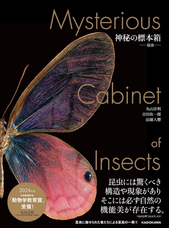 世界の昆虫 全3巻&標本セット 5箱&オリジナル標本箱 ※バラ売り要相談 世界の昆虫 全3巻&標本セット 5箱&オリジナル標本箱 ※