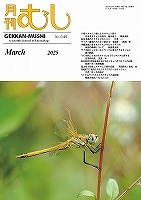 ष NO.649