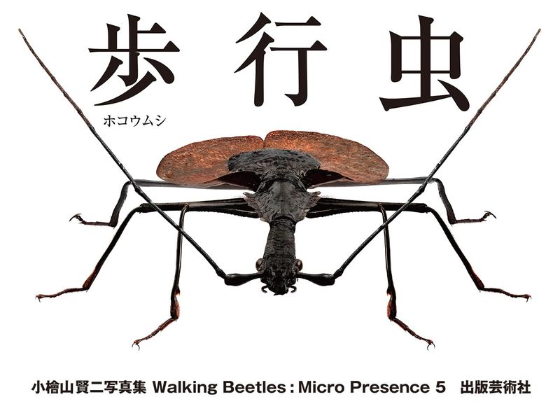 Micro Presence 5�������