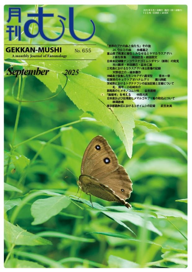 新品未使用　日本の迷蝶大図鑑 むし社　月刊むし　昆虫大図鑑シリーズ　　希少　蝶々 Amazon.co.jp: 超 世界の迷蝶ヒトリガ 図鑑 むし社 月刊むし