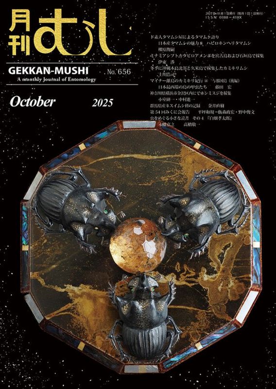 もやしめじページ ぺたっち ベビー用 はいいろ|HTP-A/H-GR|商品カタログ