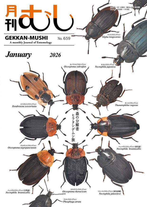 月刊むし NO.659 | 月刊むし,月刊むし | むし社オンラインショップ