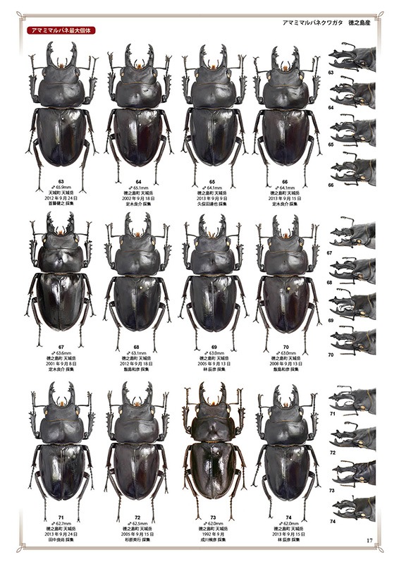 ष⥷꡼4 ܤΥޥХͥ塞䡦ǡ