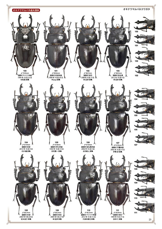 ष⥷꡼4 ܤΥޥХͥ塞䡦ǡ