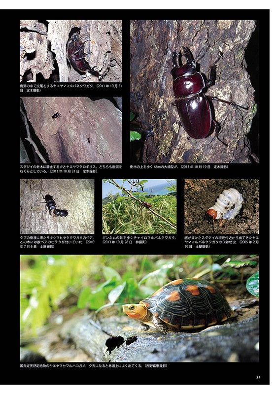 ष⥷꡼4 ܤΥޥХͥ塞䡦ǡ