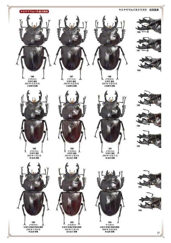 ष⥷꡼4 ܤΥޥХͥ塞䡦ǡ