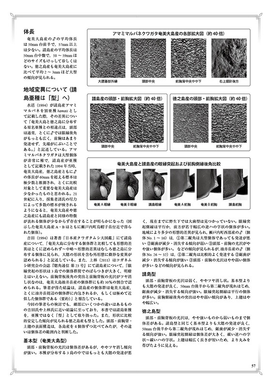 ष⥷꡼4 ܤΥޥХͥ塞䡦ǡ