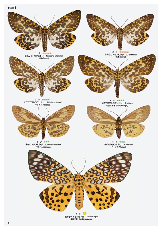 ��ष��������⥷�꡼��5 ����������ҥȥꥬ