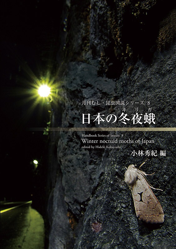 ��ष��������⥷�꡼��8 ���ܤ������ڥ��ꥬ��