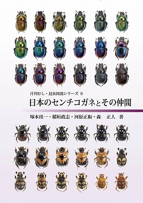 ��ष��������⥷�꡼��9 ���ܤΥ���������ͤȤ������