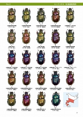 ��ष��������⥷�꡼��9 ���ܤΥ���������ͤȤ������