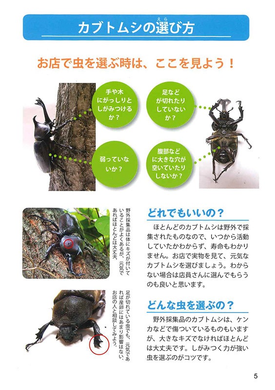 ���ƻ������ܤΥ��֥ȥॷ