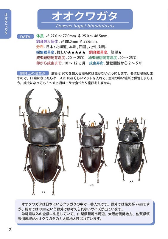 ƻ塞ॷ