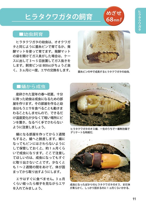 ƻ塞ॷ