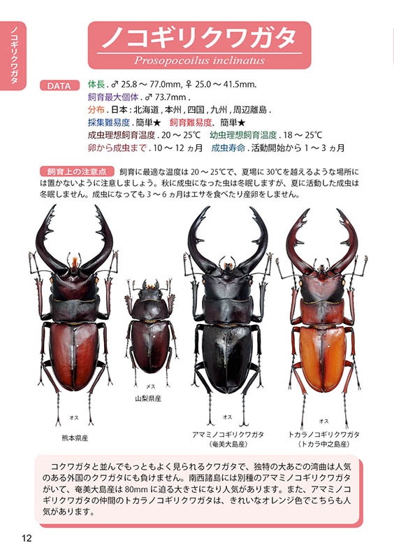 ƻ塞ॷ
