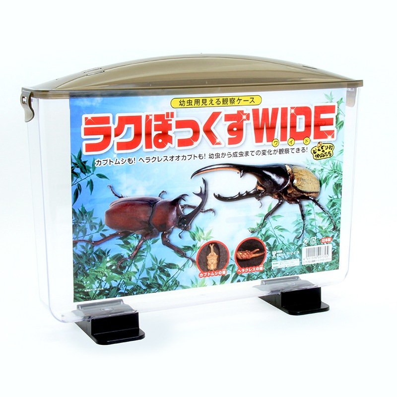 �饯�ܥå��� �磻��