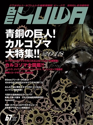 BE-KUWA NO.67ں߸˶Ͼ