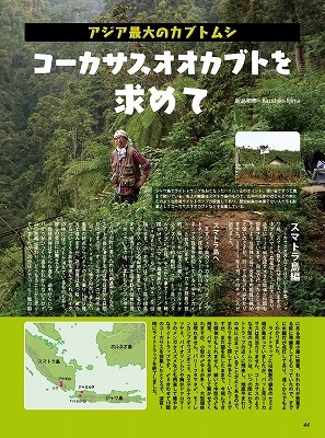 BE-KUWA NO.67ں߸˶Ͼ