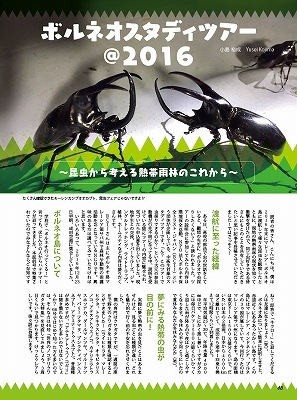 BE-KUWA NO.67ں߸˶Ͼ