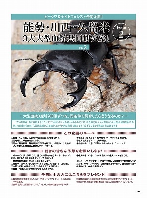 BE-KUWA NO.67ں߸˶Ͼ
