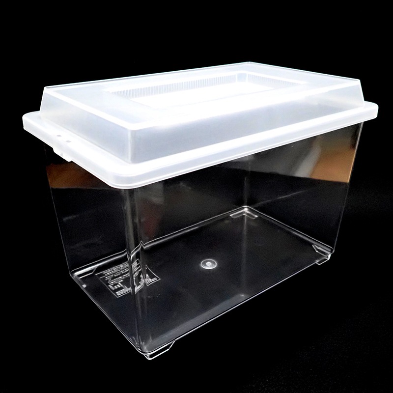 ���Х��ɻߥե����ץ饱���� ��