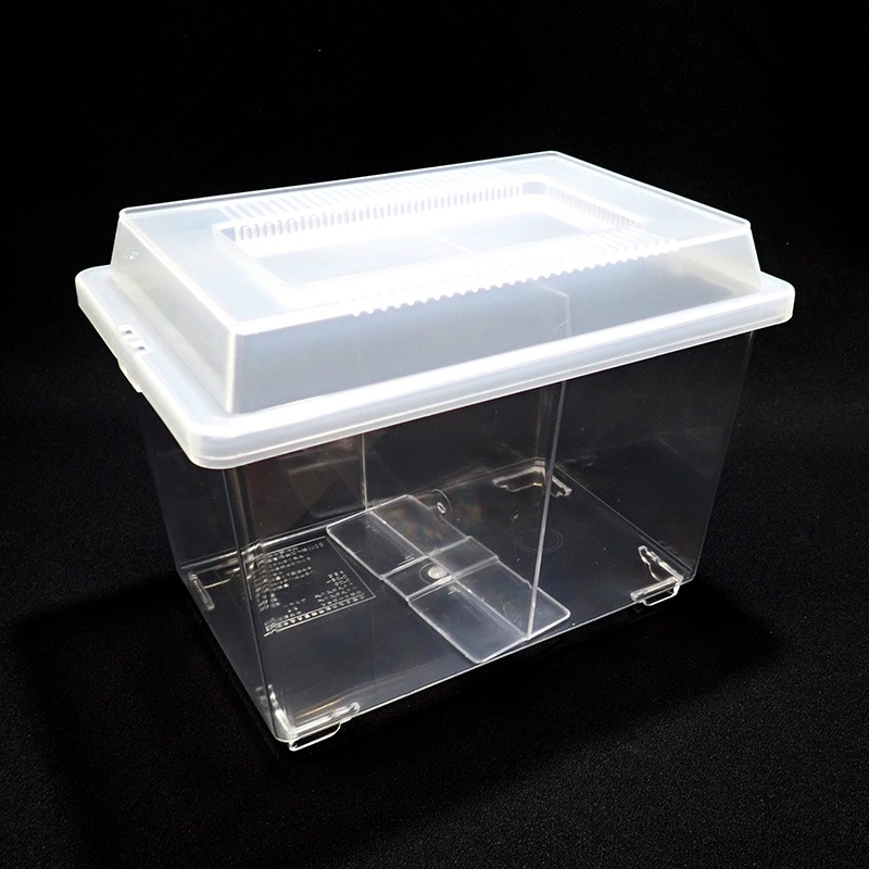 ���Х��ɻߥե����ץ饱���� ��