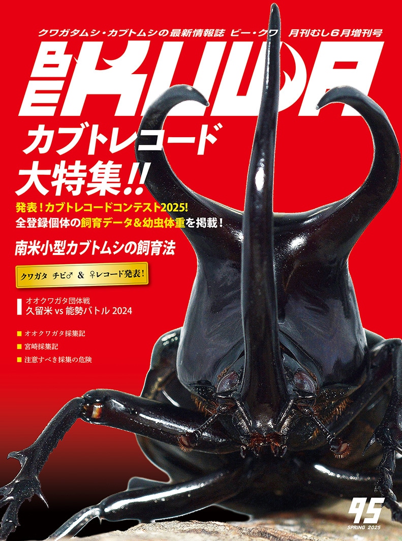 BE-KUWA NO.95