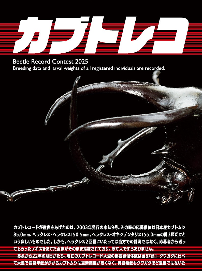 BE-KUWA NO.95