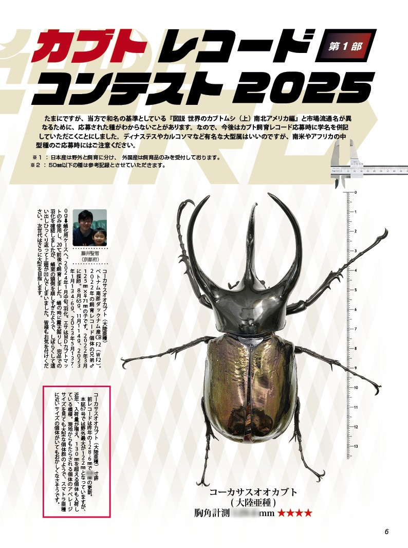 BE-KUWA NO.95