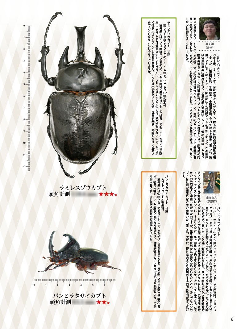BE-KUWA NO.95