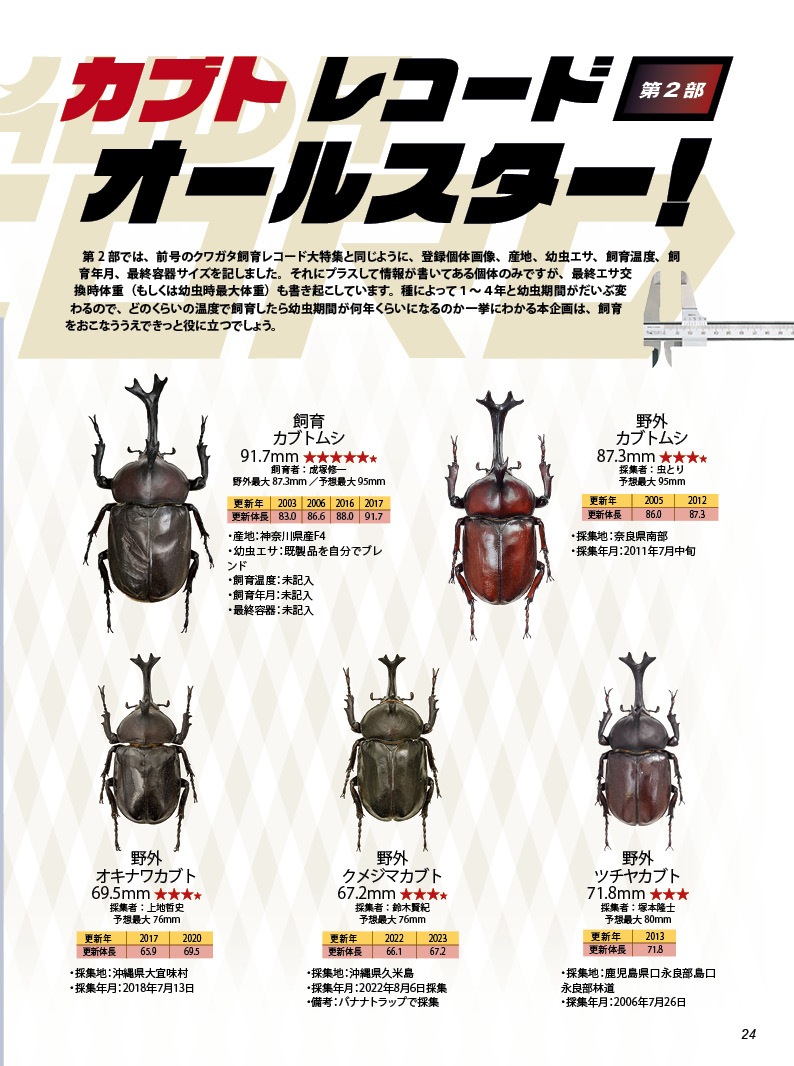BE-KUWA NO.95
