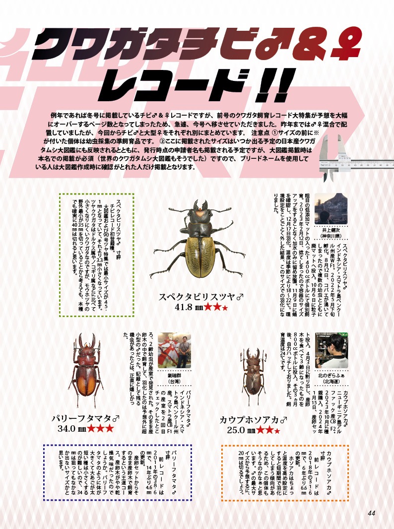 BE-KUWA NO.95