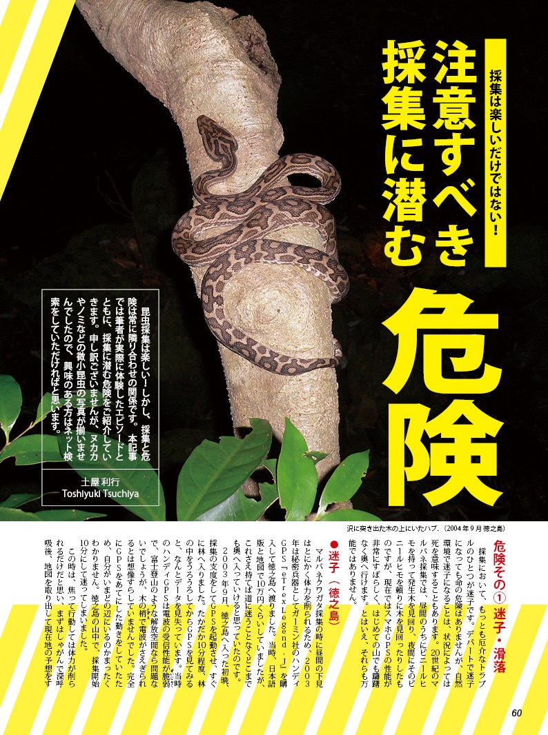 BE-KUWA NO.95