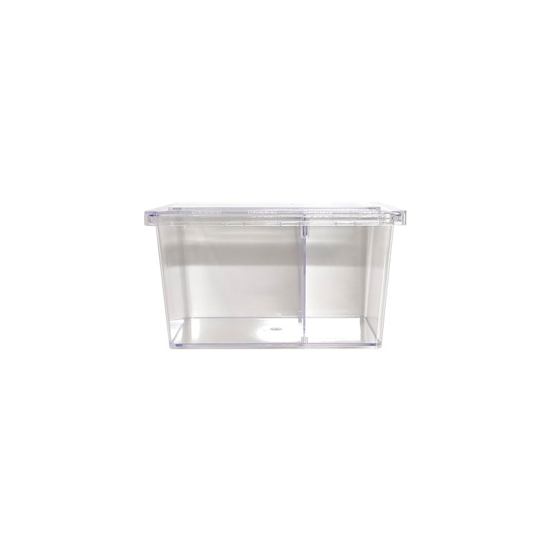 ���ꥢ���饤����