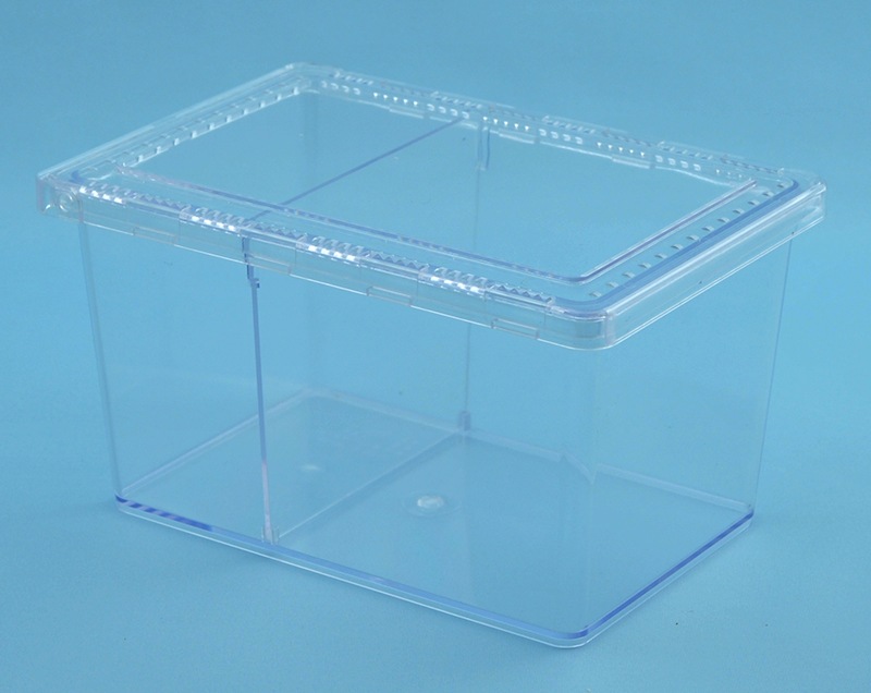 ���ꥢ���饤����