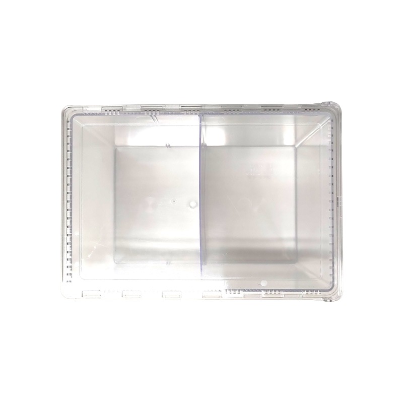 ���ꥢ���饤���� �顼��