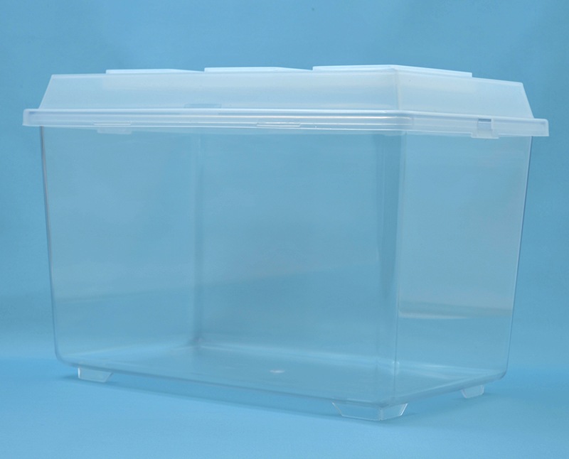 ���Х�����å��� ��