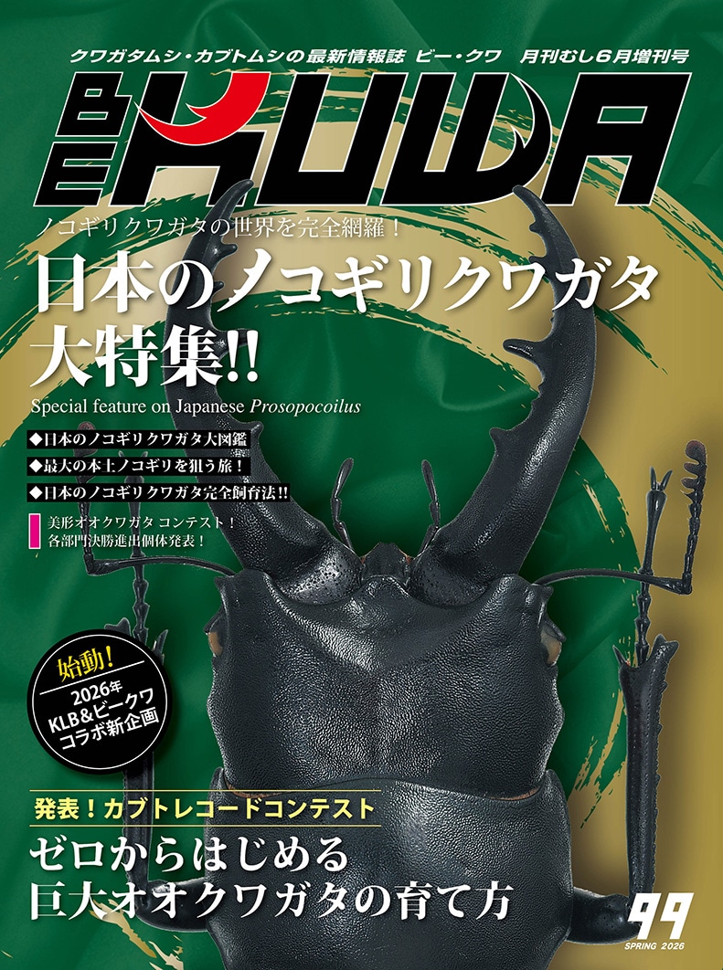 BE-KUWA NO.99